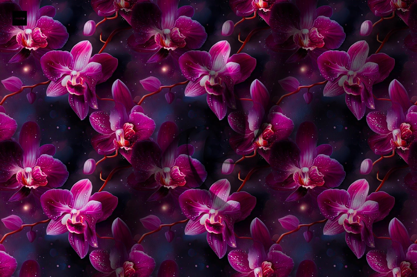 Pink  Orchideen  Design Dezember Vorbestellung